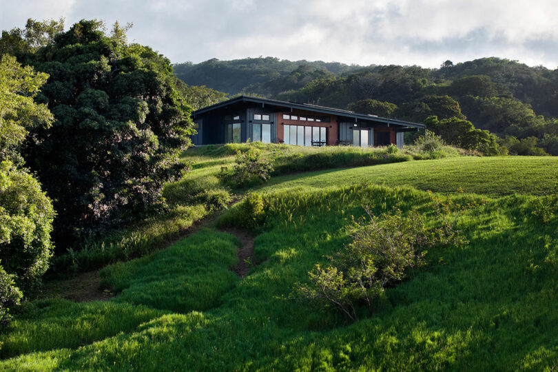 A modern house with large windows sits on a grassy hillside surrounded by trees and dense green vegetation under a cloudy sky.