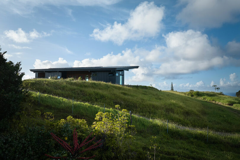 Modern house with dark exterior sits on a grassy hillside under a blue sky with scattered clouds, surrounded by green vegetation.