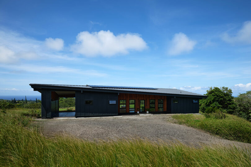Modern single-story house with dark siding and wooden accents, flat roof, surrounded by tall grass and greenery under a blue sky.