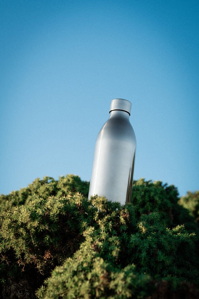 An Aarke To-Go Bottle stands upright on green shrubbery against a clear blue sky.