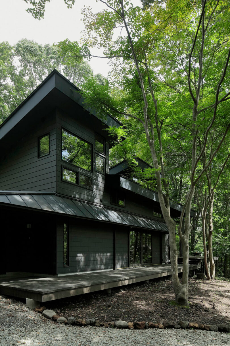 Modern dark wood house with large windows and sloped roof, surrounded by tall green trees and natural landscaping.