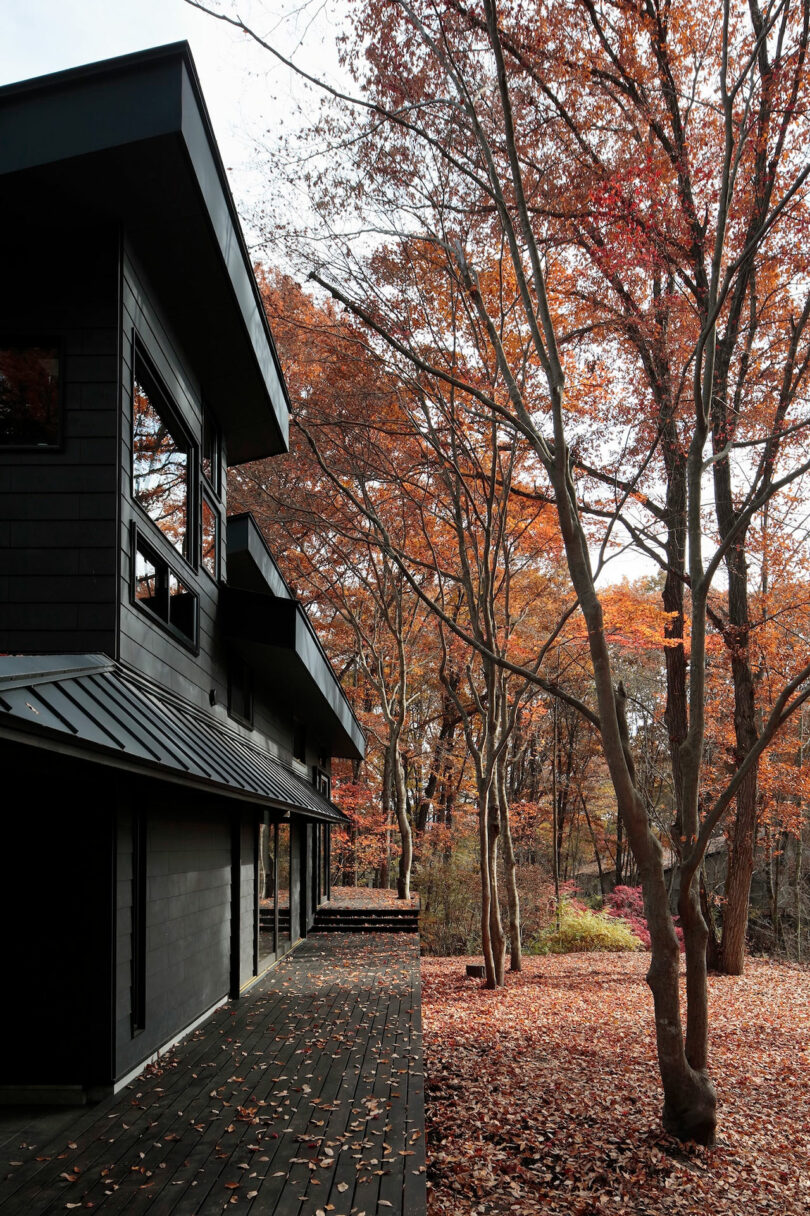 A modern black house with large windows stands beside tall trees with orange autumn leaves and a wooden deck covered in fallen leaves.