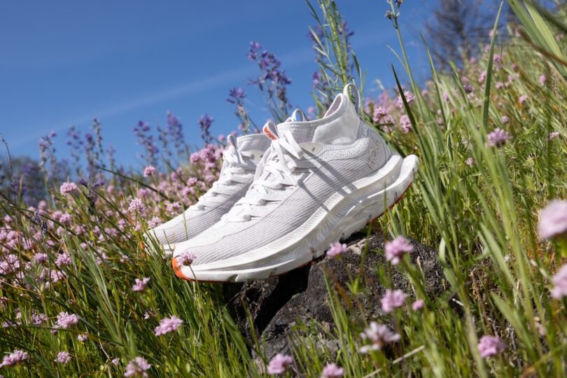 A pair of white running shoes are placed on a rock surrounded by green grass and pink wildflowers under a clear blue sky