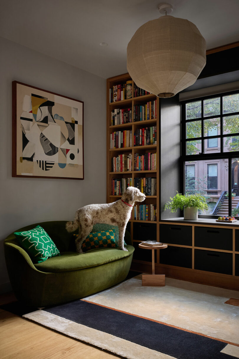 Un perro se encuentra en un sofá verde en un acogedor rincón de lectura con estanterías, una gran ventana, arte abstracto y una luz redonda de techo.