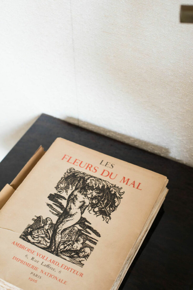 A vintage book titled "Les Fleurs du Mal" with an illustrated cover by Dorothée Boissier rests on a dark surface against a light-colored wall.