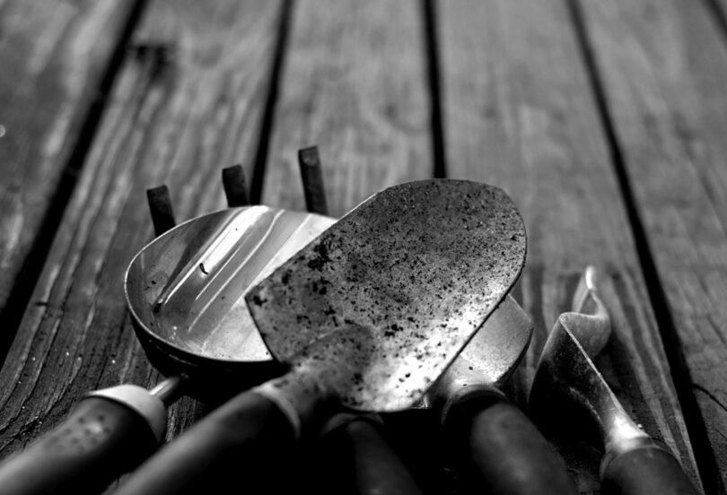A close-up of several gardening tools, including a trowel, hand rake, and weeder, resting on a wooden surface in black and white, captured in the signature style of Tyler Kobick.