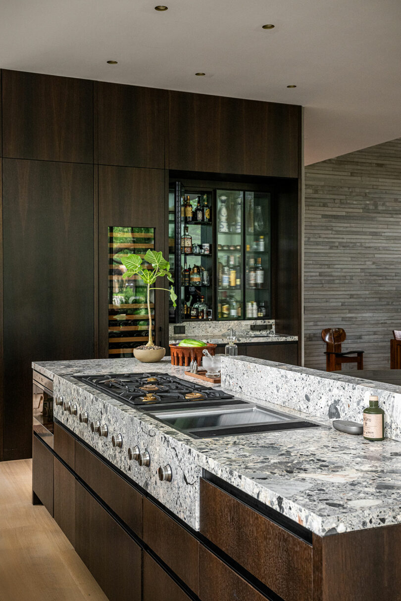 Modern kitchen with dark wood cabinets, a large speckled granite island featuring a gas cooktop, a potted plant, and a glass-fronted bar area in the background.