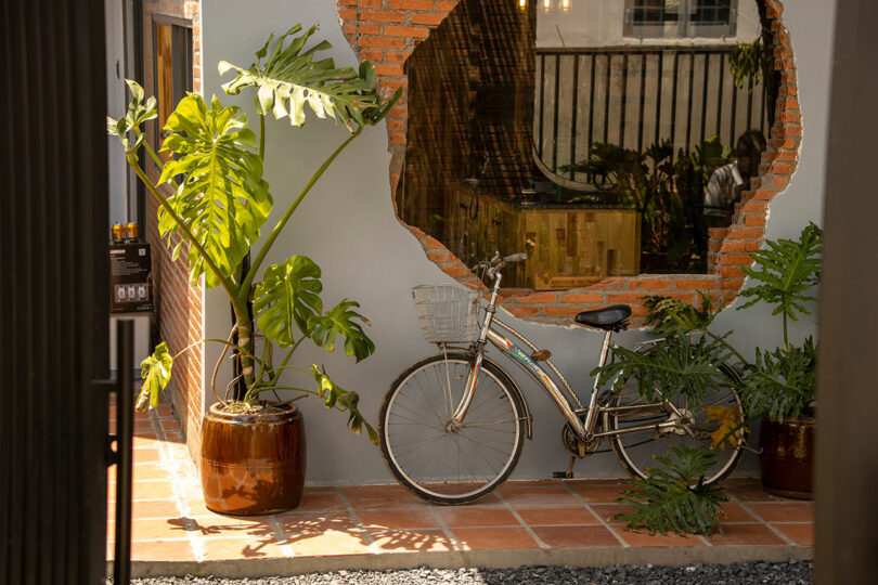 A silver bicycle with a front basket is parked against a wall with a large, irregular hole exposing brickwork, next to potted green plants on a tiled floor.