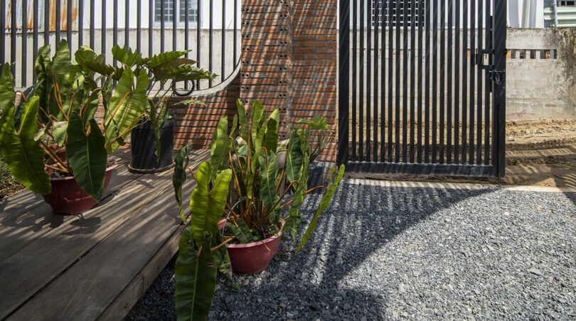 Potted green plants on a wooden deck next to a brick and metal fence with an open gate, casting striped shadows on gravel ground.