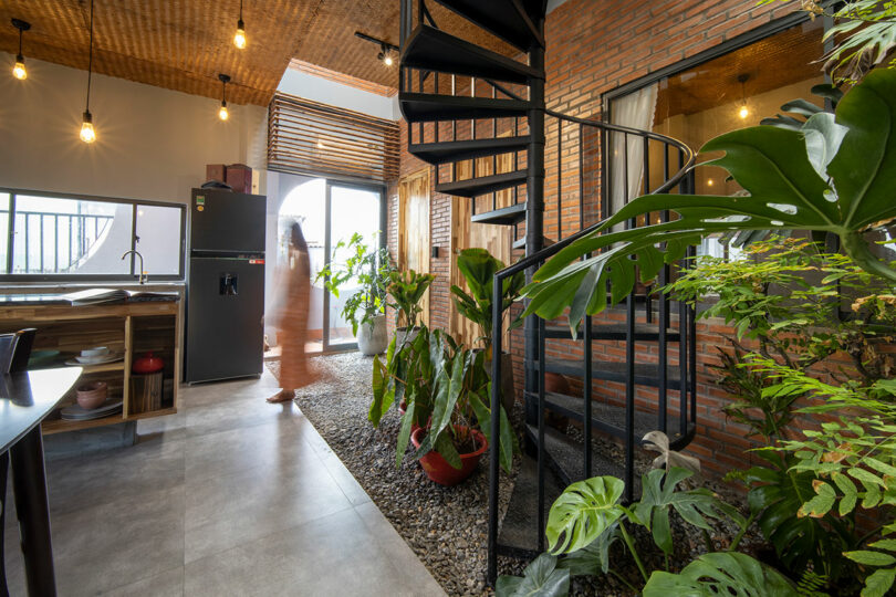 A modern kitchen and dining area features a black spiral staircase, indoor plants, brick walls, and natural light from large windows and a glass door.