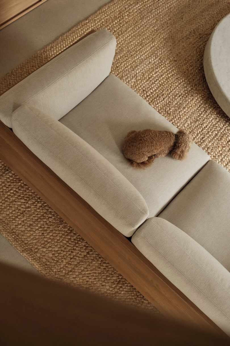 Beige sofa with wooden frame on a woven rug, viewed from above, with a brown stuffed animal placed on one seat cushion