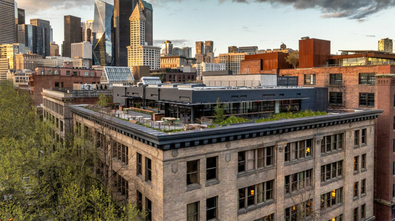 A rooftop garden on a historic brick building with modern skyscrapers in the background, under a partly cloudy sky.