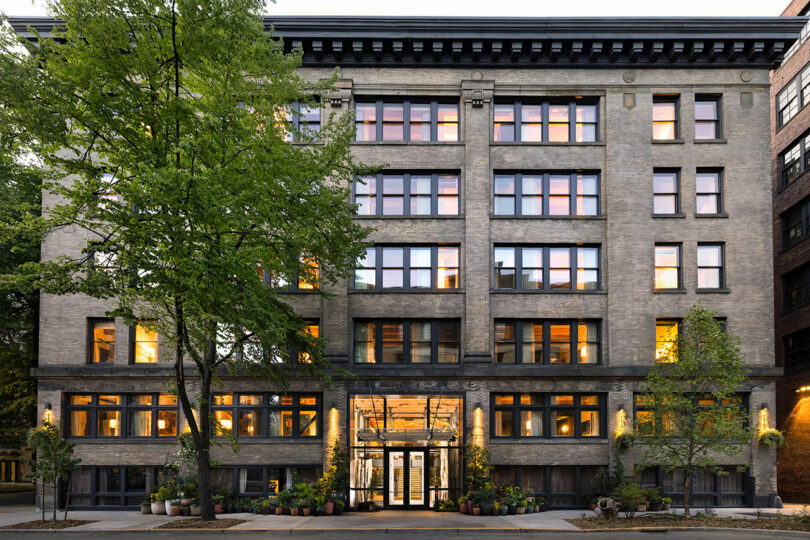 A five-story brick apartment building with large windows and a glass entrance, surrounded by trees and planters on the sidewalk.