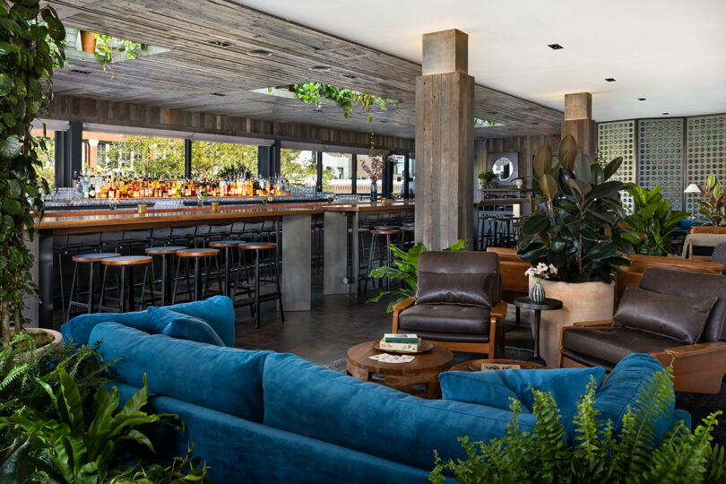 Modern bar and lounge area with a blue velvet sofa, leather armchairs, wooden tables, bar stools, and abundant indoor plants. Large windows provide natural light.