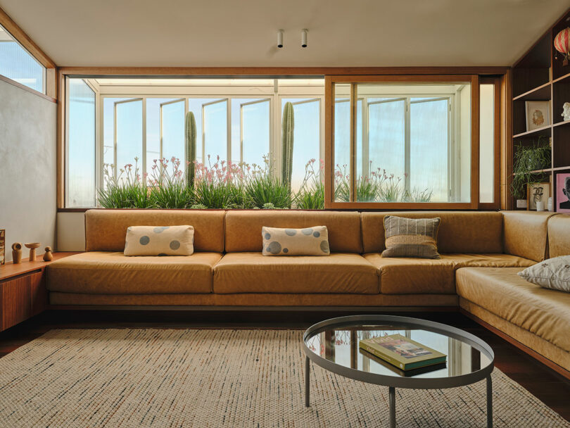 A modern living room with a tan leather sectional sofa, patterned pillows, a round coffee table, rug, and large window overlooking plants and tall cacti.