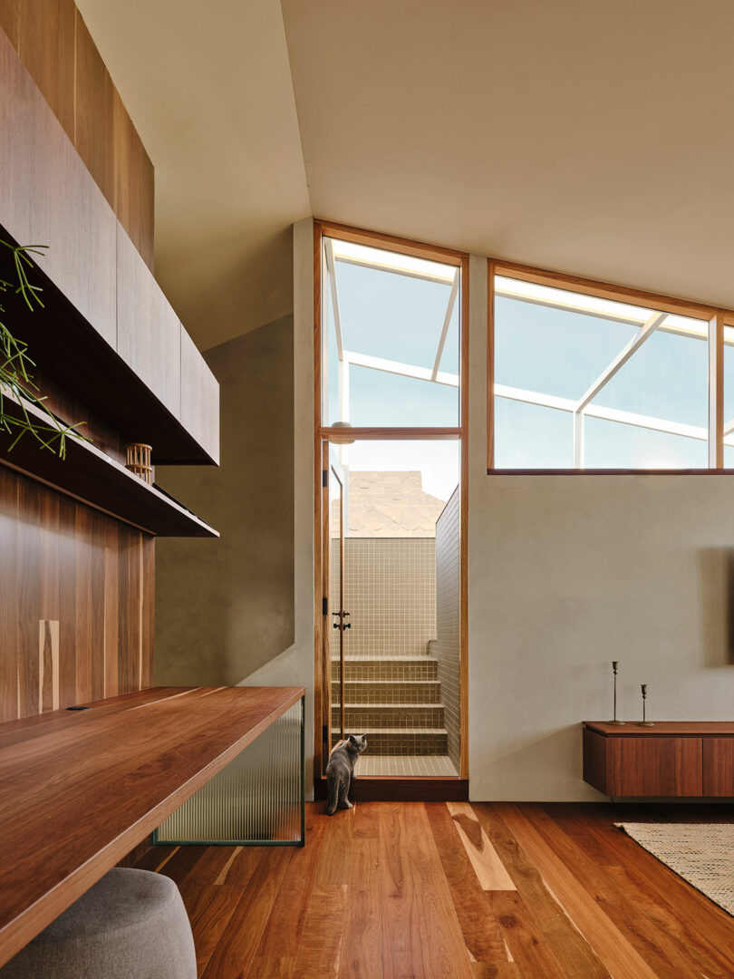 A modern interior with wood accents, a built-in desk, and a cat standing at a glass door that leads to tiled outdoor stairs.