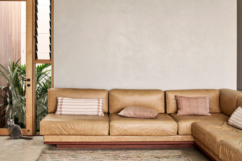 Tan leather sectional sofa with three textured pillows sits against a plain wall; a gray cat is by a glass door near green plants.