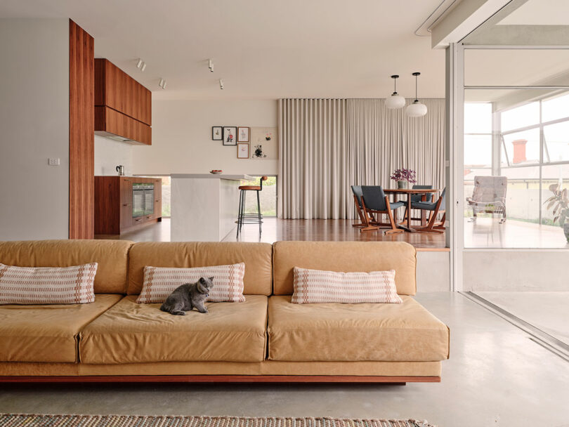 A modern open-plan living space with a tan sofa, a cat resting on it, a kitchen with wooden cabinets, and a dining area with a round table and chairs.
