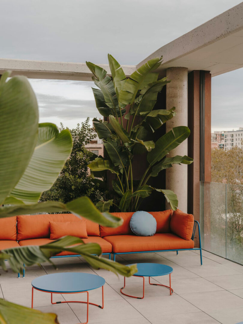Modern outdoor patio with an orange sofa, blue tables, a round blue pillow, large potted tropical plants, and glass railing overlooking buildings.