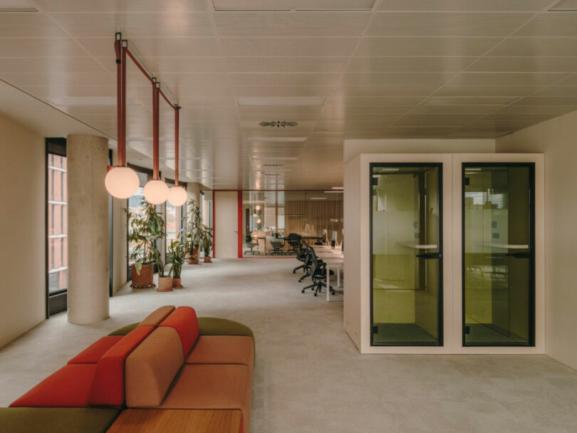 Modern office for open plan with a range of tables, glass meetings with meetings, closed plants and contemporary sitting. Large windows provide natural light.