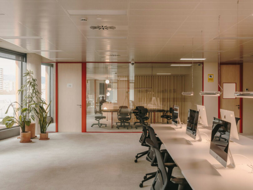 Modern office space with large desks, several desktop computers, office chairs, glass-walled meeting room, potted plants, and neutral décor.