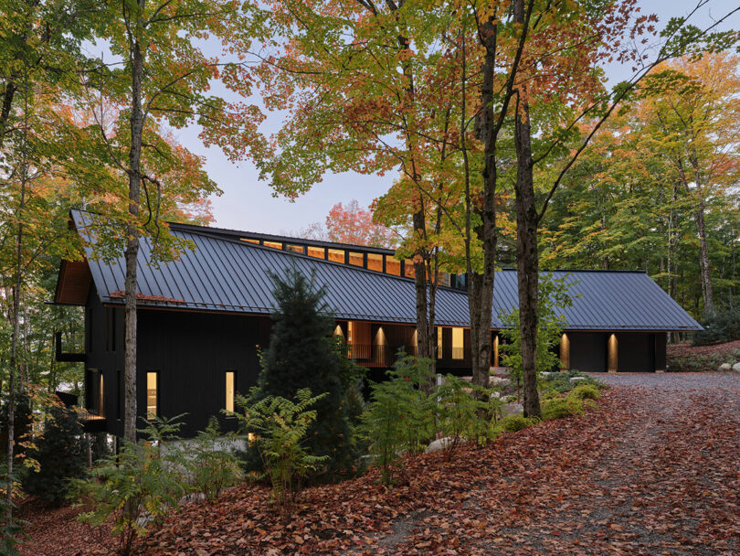 A Muskoka Lakeside Cottage Blends Architecture With the Canadian Shield