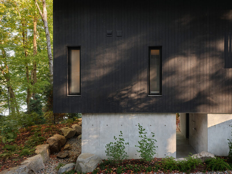 Modern house with dark wood siding and concrete foundation, featuring two narrow vertical windows, surrounded by trees and rocks in a natural landscape.