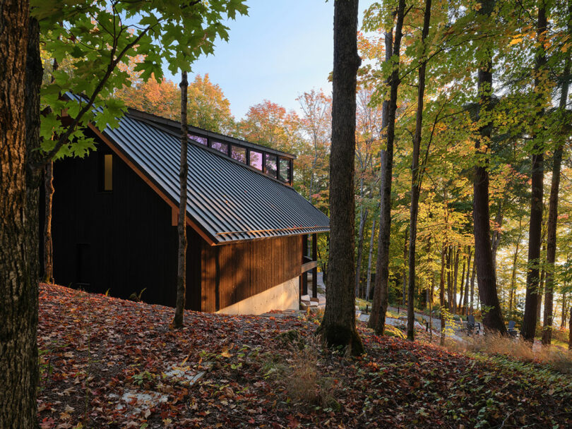 A modern cabin with a dark sloped roof is situated in a forest with tall trees and autumn foliage, overlooking a lake in the background.