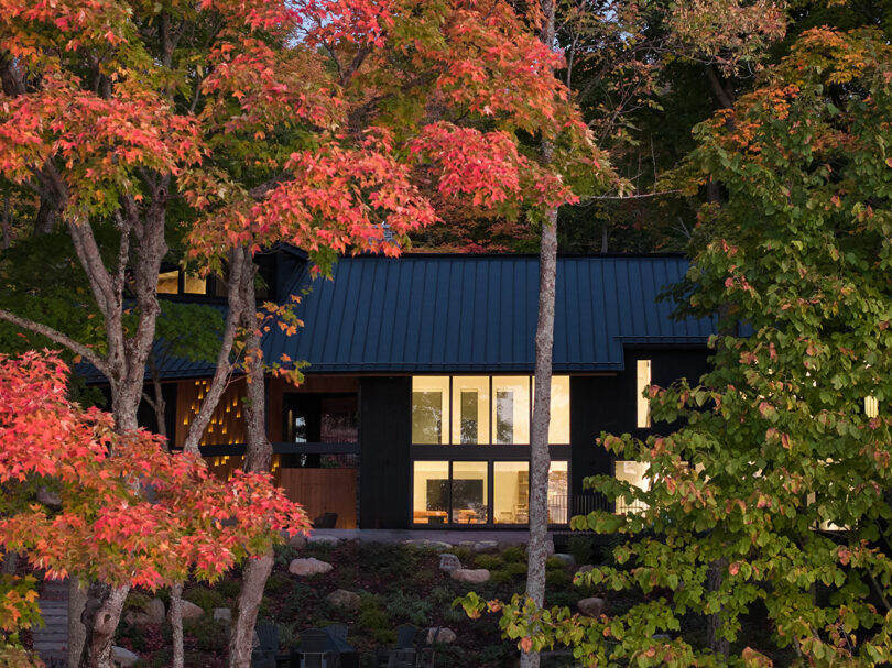 Modern house with large windows and dark siding partially obscured by trees with red and green autumn foliage. Warm interior lights are visible through the windows.