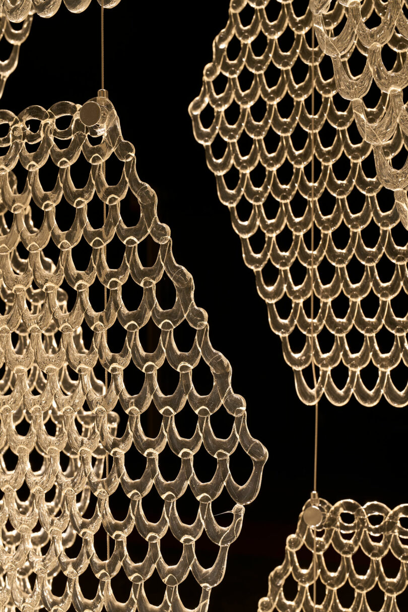 Close-up of several transparent, net-like plastic or glass sheets suspended vertically against a dark background, evoking the delicate structure of The Great Tree.