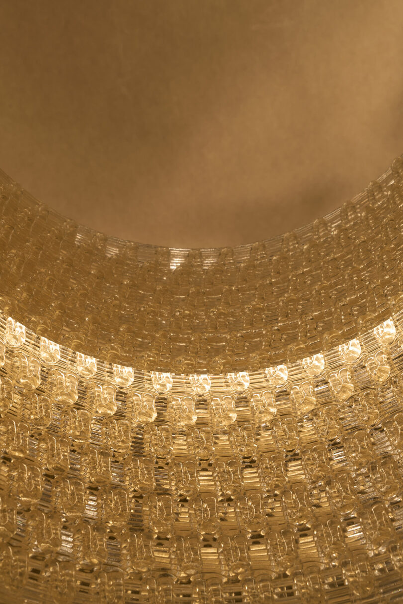 Close-up view of a textured, translucent golden surface with a curved, circular shape, illuminated by warm light from above—reminiscent of the luminous canopy of The Great Tree.