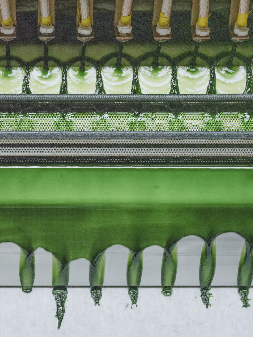 Primer plano de la máquina que aplica glaseado verde en la cinta transportadora con múltiples boquillas que dispensan glaseado en el entorno de fábrica