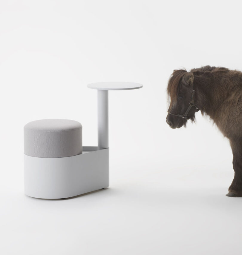 A small brown pony stands next to a modern, minimalist stool with an attached round side table against a plain white background