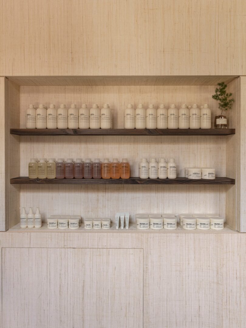 Two wooden shelves hold neatly arranged bottles and jars of skincare products. A small potted plant sits on the right side of the top shelf. The background is light wood.