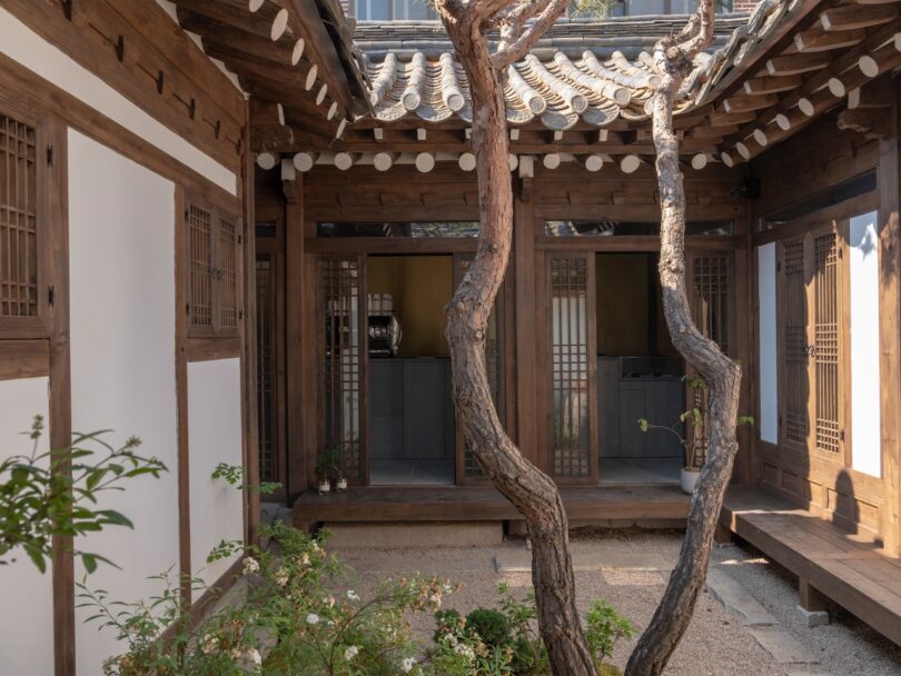 Traditional wooden courtyard with tiled roof, wooden doors and windows, a curved tree in the center, and a small garden area.