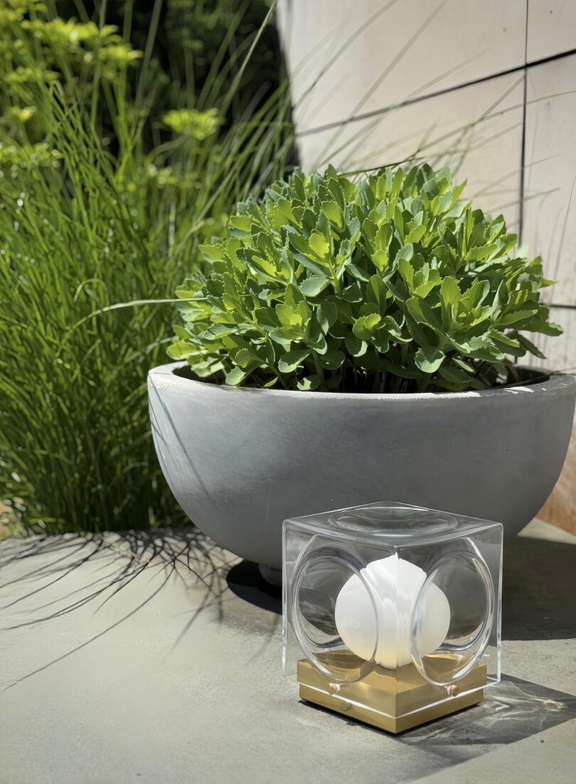 A gray planter with green leafy plants sits on a concrete surface next to a small transparent cube with a gold base and a white sphere inside, outdoors in sunlight