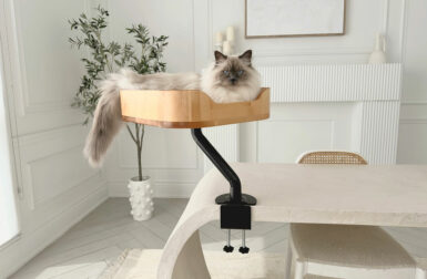 The New Ergo Purrch Is the Perfect Cat Companion for WFH Life
