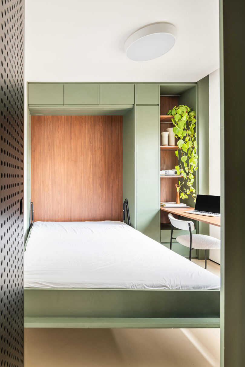 Una habitación moderna con una cama verde Murphy derribada, un escritorio de madera incorporado, una computadora portátil, estantes con decoración y una planta en maceta que se arrastran desde el estante superior.