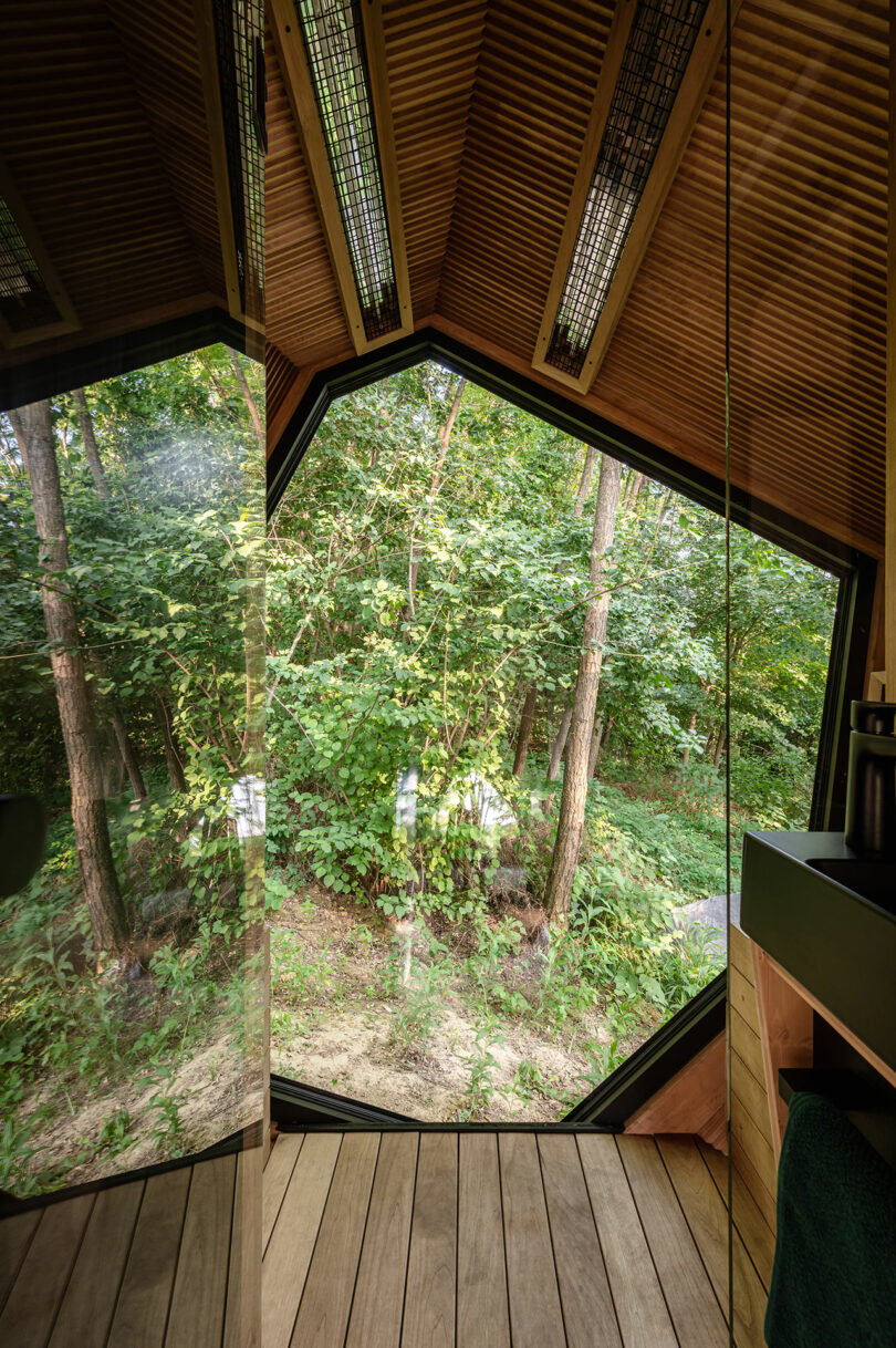 Vista de un bosque a través de grandes ventanas angulares de piso a techo en una moderna cabaña de madera con techo de listones y piso de madera.