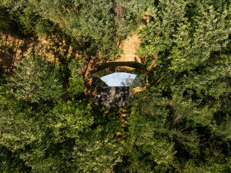 Una vista aérea de un edificio reflejado rodeado de densos árboles verdes, que se mezclan con el entorno forestal.