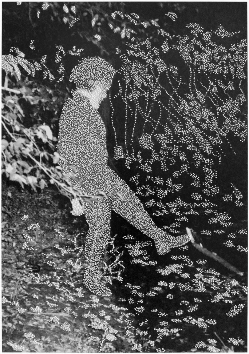 artwork with figure stepping in foliage