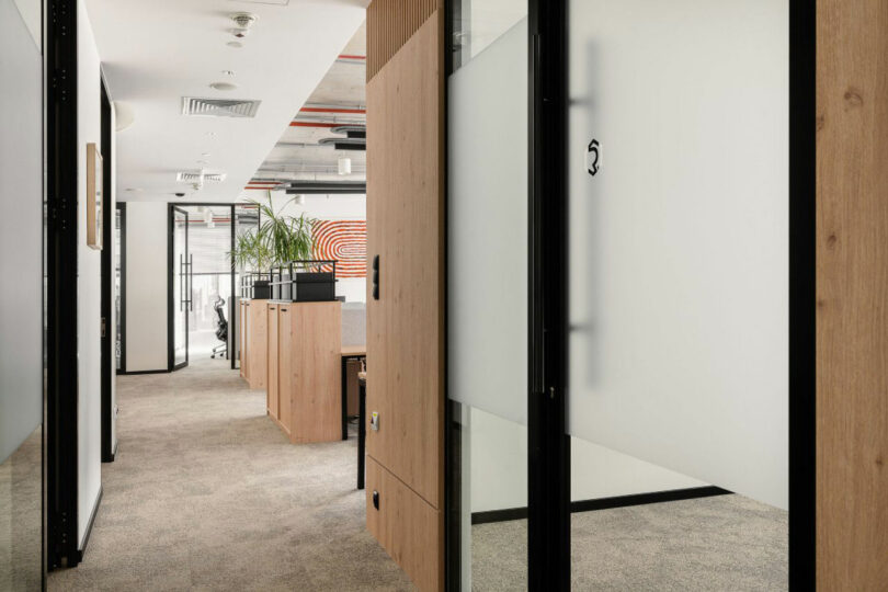 Modern office hallway with door on glass and wooden coated windows, windows, carpet floor and tables with plants in the background.