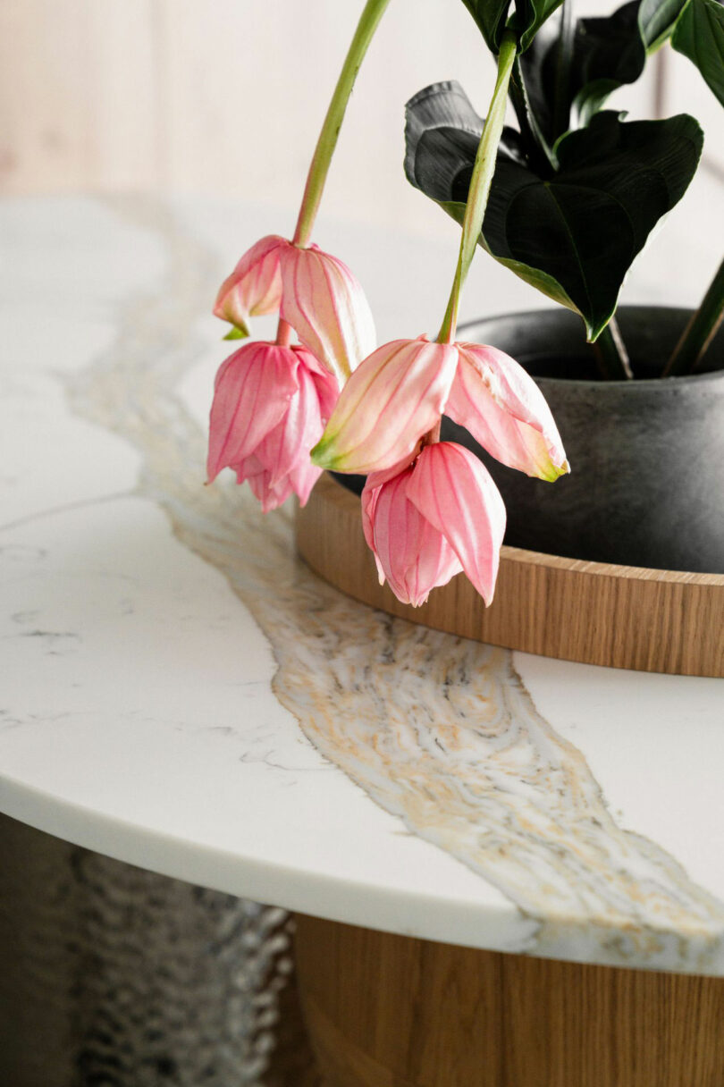 Pink flowers in gray loris are seated on a round wooden tray on a white marble table with light.