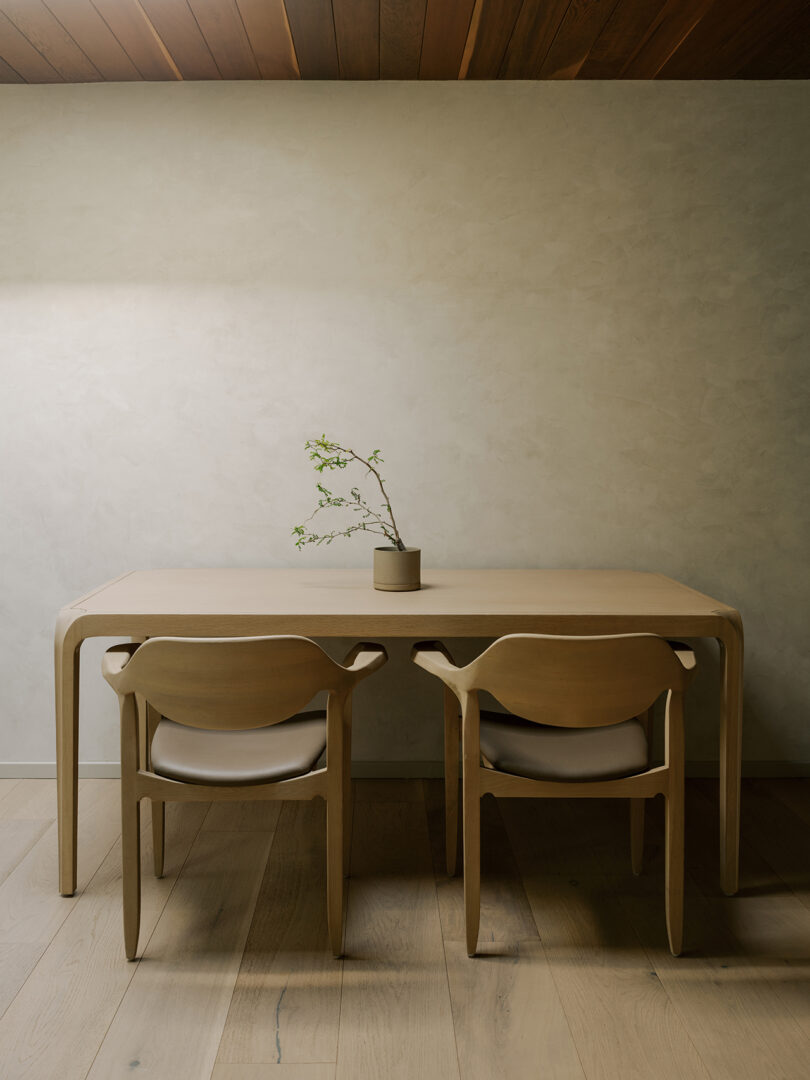 Minimalist dining area with a light wooden table, two matching chairs, and a small potted plant placed at the center of the table against a neutral wall.