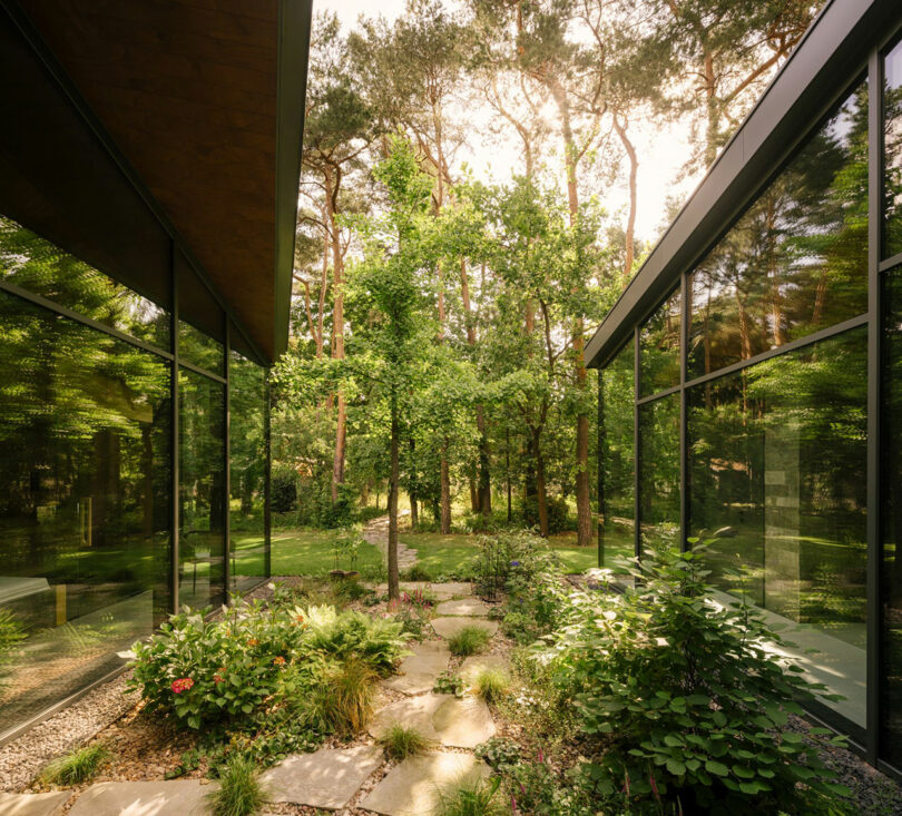 A stone path lined with plants and shrubs runs between two modern glass buildings, leading to a wooded area with tall trees in the background.