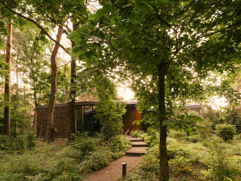 A modern house with large windows is surrounded by dense, green trees and plants, with a brick pathway leading to the entrance.