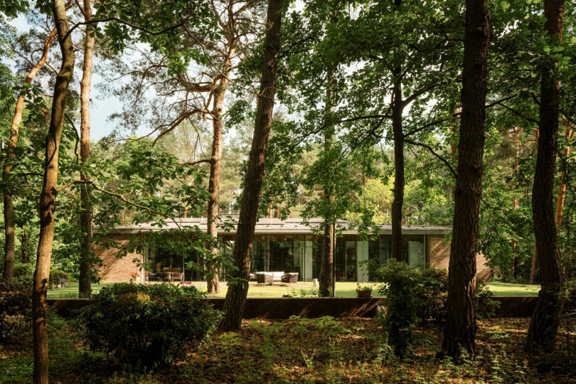 A modern, single-story house with large glass windows is surrounded by tall trees and dense greenery in a forested area.
