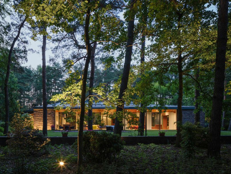 A modern, single-story glass and stone house is illuminated at dusk, surrounded by tall trees and dense greenery in a wooded setting.