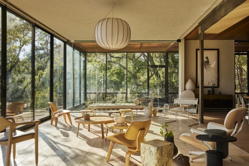 Spacious living room with floor-to-ceiling windows, modern wooden furniture, potted plants, and natural light streaming in from outside trees.