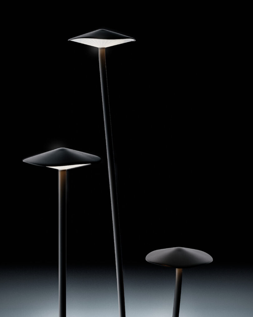 Three modern, minimalist floor lamps with flat, disc-shaped shades are shown in a dark setting, emitting soft light from beneath each shade.